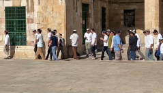 لليوم الثاني- مئات المستوطنين يقتحمون الأقصى